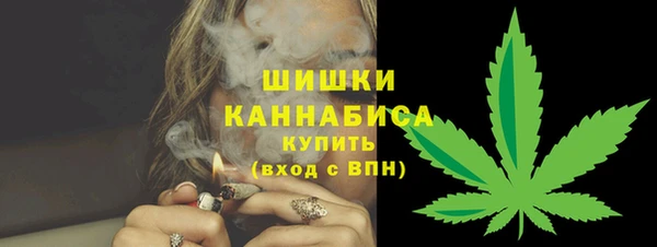ГАЛЛЮЦИНОГЕННЫЕ ГРИБЫ Белокуриха