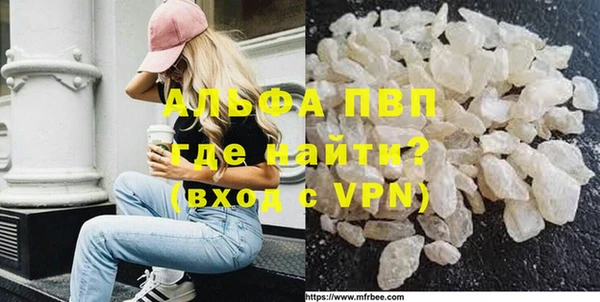 ГАЛЛЮЦИНОГЕННЫЕ ГРИБЫ Белокуриха