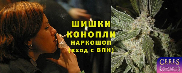 ГАЛЛЮЦИНОГЕННЫЕ ГРИБЫ Белокуриха