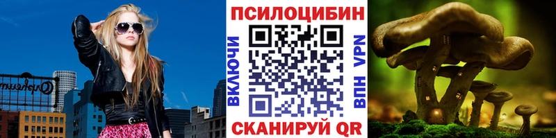 купить закладку Малая Вишера Галлюциногенные грибы Psilocybe